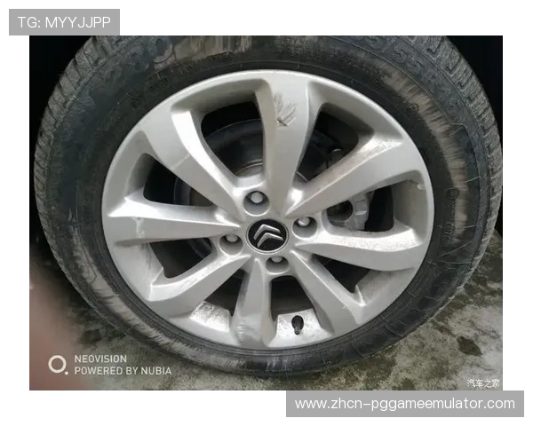 轮胎供应商公布圣保罗站配方,C2-C4组合回归传统 轮胎供应商公布圣保罗站配方,C2-C4组合回归传统